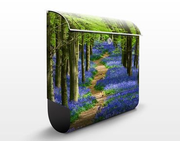 Letterbox - Trail in Hertfordshire