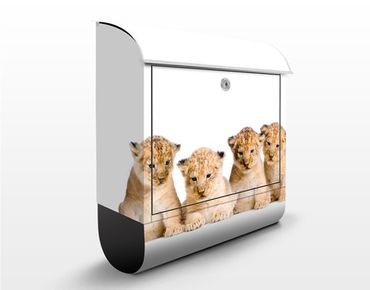 Letterbox - Sweet Lion Babys