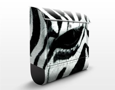 Letterbox - Zebra Crossing No.2
