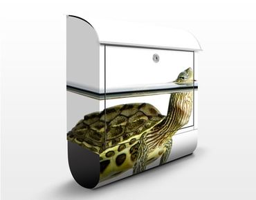 Letterbox - Turtle