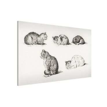 Magnetic memo board - Vintage Drawing Cat I