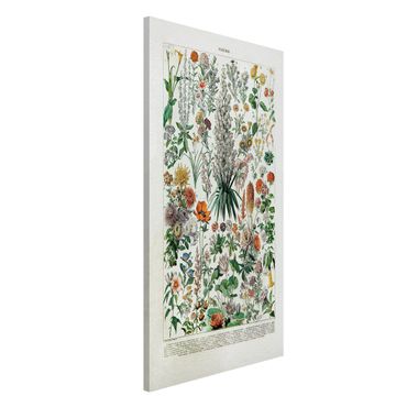 Magnetic memo board - Vintage Board Flowers I