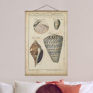 Fabric print with poster hangers - Vintage Conch Drawing Pattern Bunte