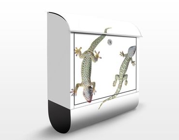 Letterbox - Nosey Geckos