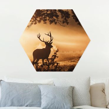 Forex hexagon - Deer In The Winter Forest