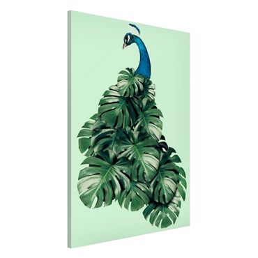 Magnetic memo board - Peacock With Monstera Leaves