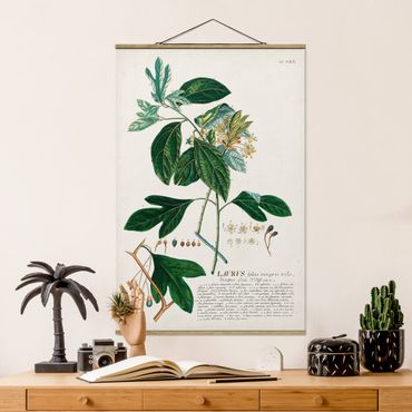 Fabric print with poster hangers - Vintage Botanical Illustration Laurel