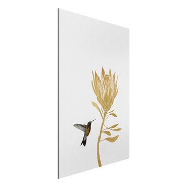 Print on aluminium - Hummingbird And Tropical Golden Blossom