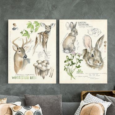 Print on canvas - Wilderness Journal - Deer And Rabbits Set II