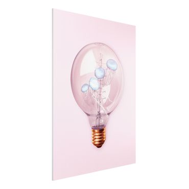 Print on forex - Light Bulb With Jellyfish