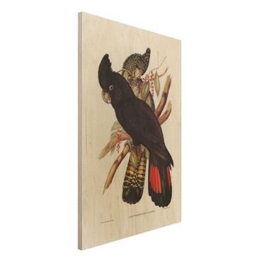 Print on wood - Vintage Illustration Black Cockatoo Black Gold