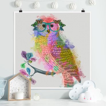 Poster - Rainbow Splash Owl