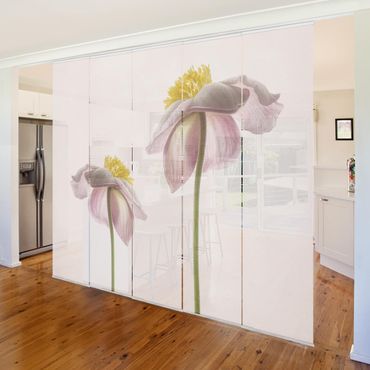 Sliding panel curtains set - Pink Anemone Blossoms