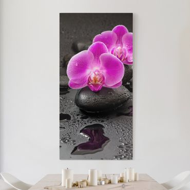 Print on canvas - Pink Orchid Flower On Stones With Drops