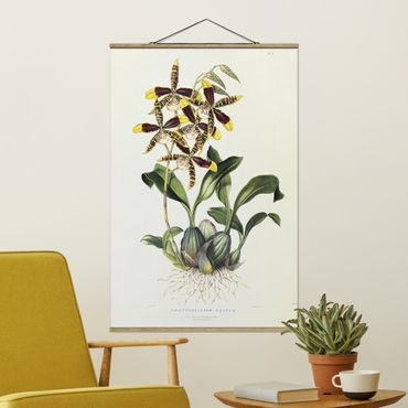 Fabric print with poster hangers - Maxim Gauci - Orchid II