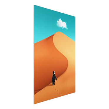 Print on forex - Desert With Penguin