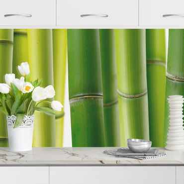 Kitchen wall cladding - Bamboo Plants II