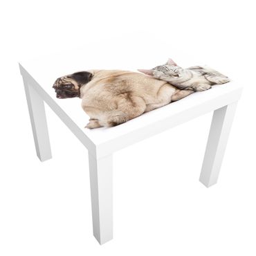 Adhesive film for furniture IKEA - Lack side table - Lack table Möpschen And Kittens