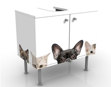Wash basin cabinet design - Cats With Puppy Dog Eyes