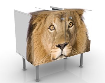 Wash basin cabinet design - King Lion ll