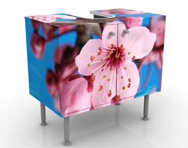 Wash basin cabinet design - Cherry Blossom