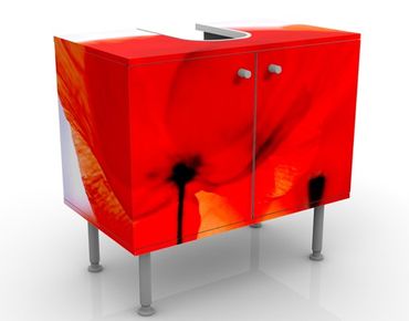 Wash basin cabinet design - Magic Poppies