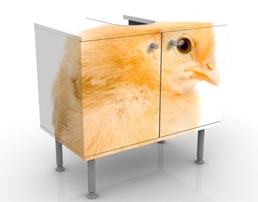 Wash basin cabinet design - Wispy Chick