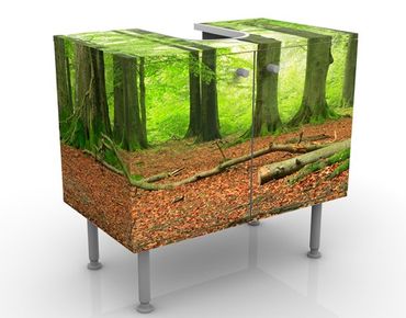 Wash basin cabinet design - Mighty Beech Trees