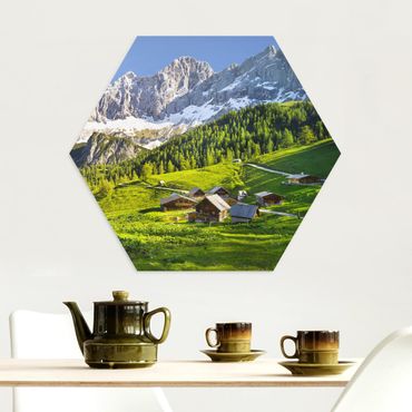 Alu-Dibond hexagon - Styria Alpine Meadow