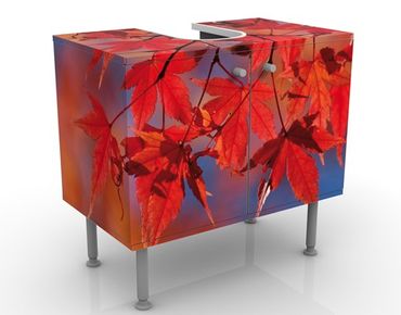 Wash basin cabinet design - Red Maple