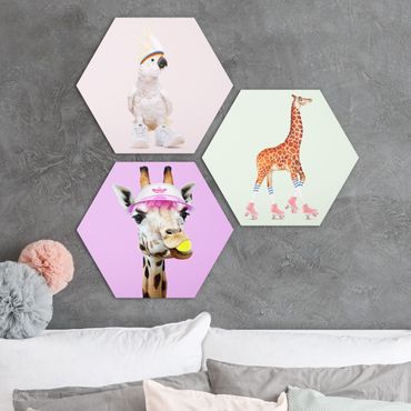 Forex hexagon - Giraffes And Kakadu Sport Set I