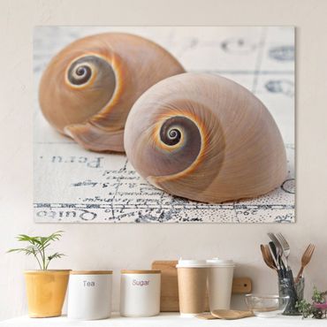 Print on canvas - Shell Duo