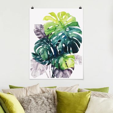Poster flowers - Exotic Foliage - Monstera