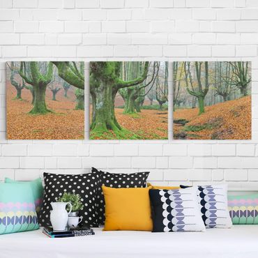 Print on canvas - Beech Forest In The Gorbea Natural Park In Spain