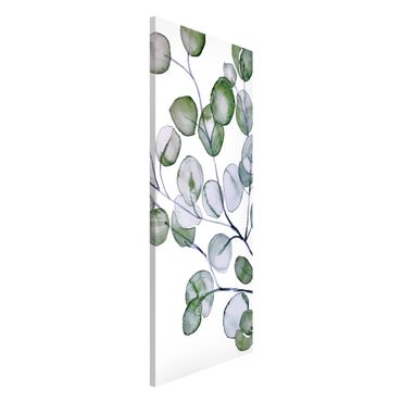 Magnetic memo board - Green Watercolour Eucalyptus Branch