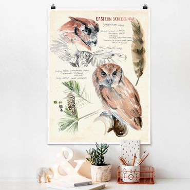 Poster flowers - Wilderness Journal - Owl