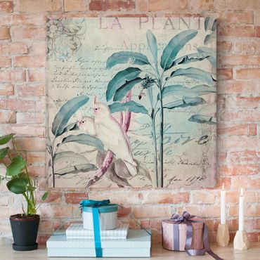 Print on canvas - Colonial Style Collage - Cockatoos And Palm Trees