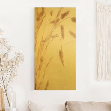 Canvas print gold - Delicate Phalaris