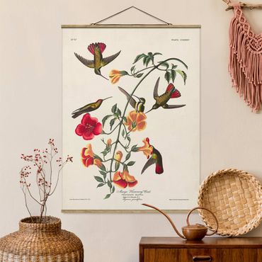 Fabric print with poster hangers - Vintage Board Mango Hummingbirds