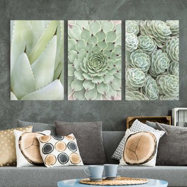 Print on canvas - Agave and Succulent Trio