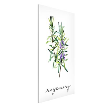 Magnetic memo board - Herbs Illustration Rosemary