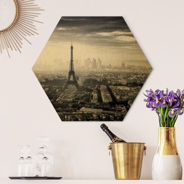 Alu-Dibond hexagon - The Eiffel Tower From Above Black And White