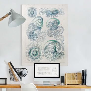 Print on canvas - Vintage Board Jellyfish In Blue
