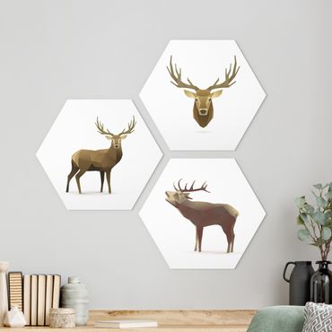 Forex hexagon - Poligon Deer Collection
