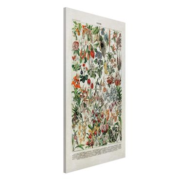 Magnetic memo board - Vintage Board Flowers III