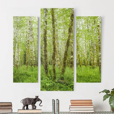 Print on canvas - Hoh Rainforest Olympic National Park