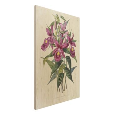 Print on wood - Maxim Gauci - Orchid I