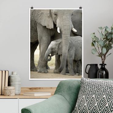 Poster animals - Elephant Love