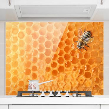 Glass Splashback - Honey Bee - Landscape 3:4