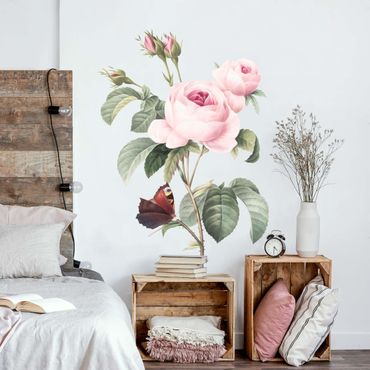 Wall sticker - Vintage Illustration Of Roses With Peacock XXL